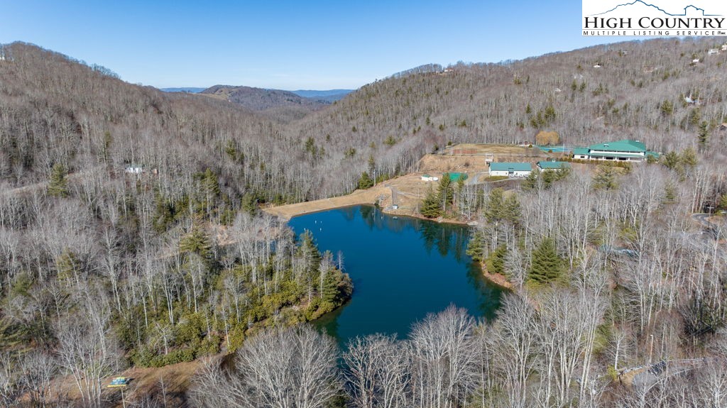 1465 Pine Ridge Road Beech Mountain, NC 28604 - Photo 20 of 20 a view of a houses with a yard