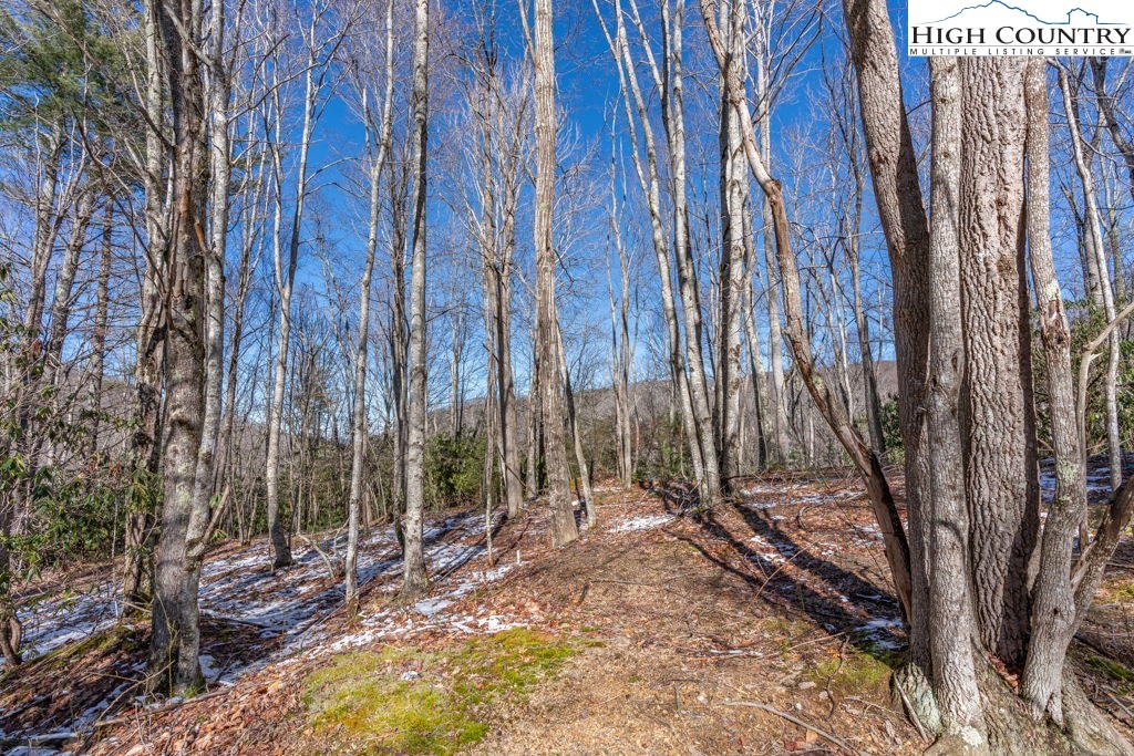 1465 Pine Ridge Road Beech Mountain, NC 28604 - Photo 2 of 20 a view of backyard with tree