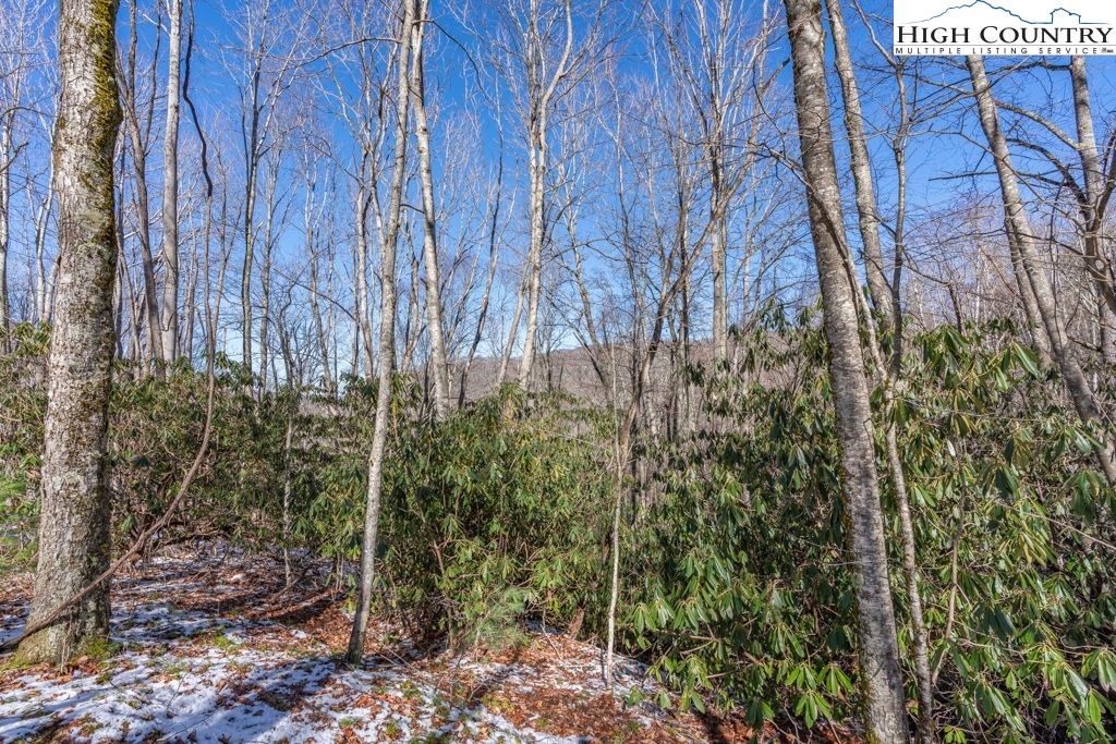 1465 Pine Ridge Road Beech Mountain, NC 28604 - Photo 3 of 20 a view of a backyard
