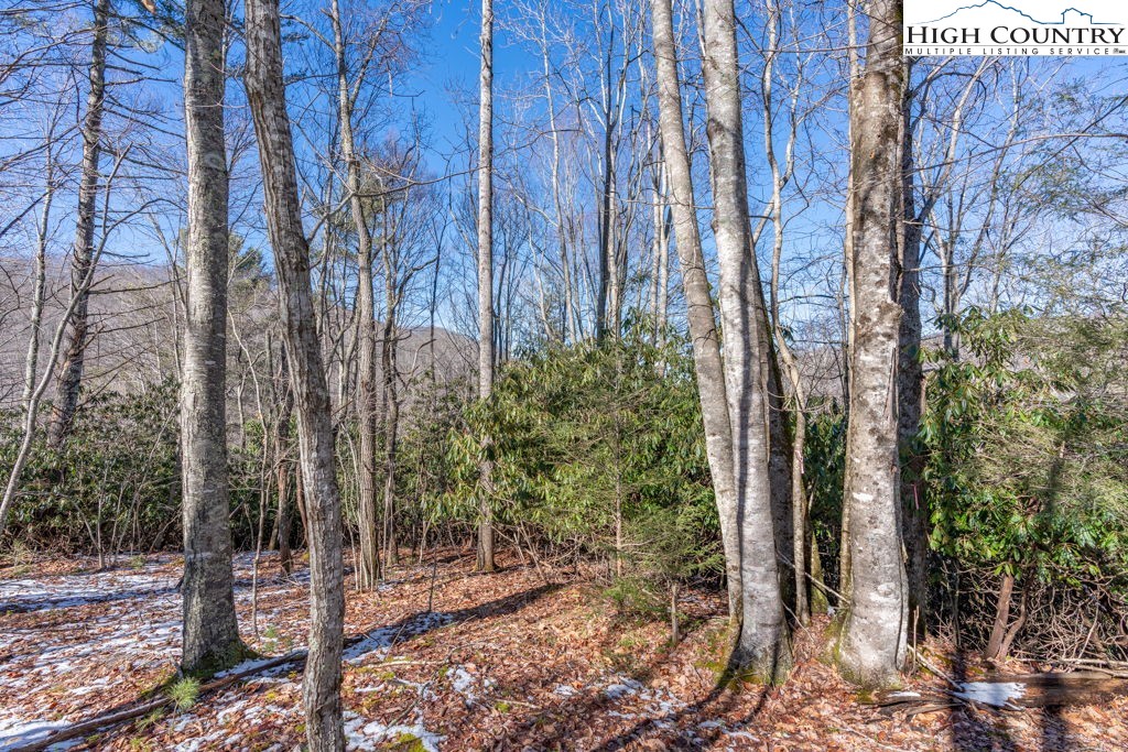 1465 Pine Ridge Road Beech Mountain, NC 28604 - Photo 5 of 20 a backyard of a house with lots of green space