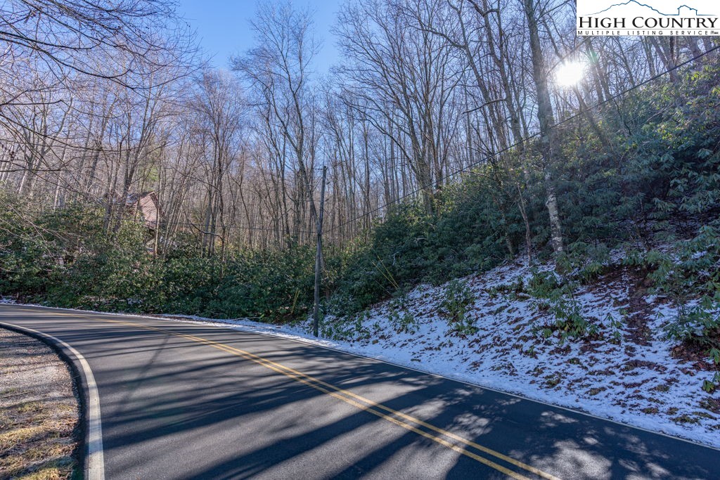 1465 Pine Ridge Road Beech Mountain, NC 28604 - Photo 6 of 20 a view of a backyard with trees