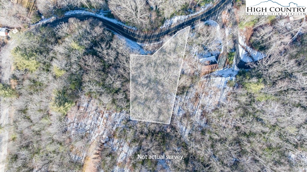 1465 Pine Ridge Road Beech Mountain, NC 28604 - Photo 7 of 20 a picture of tree