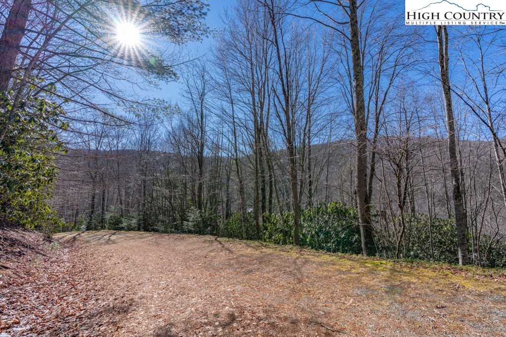 1465 Pine Ridge Road Beech Mountain, NC 28604 - Photo 8 of 20 a backyard of a house