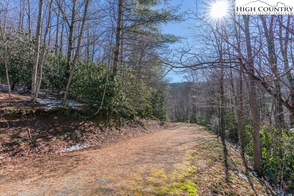 1465 Pine Ridge Road Beech Mountain, NC 28604 - Photo 9 of 20 a backyard of a house with lots of green space