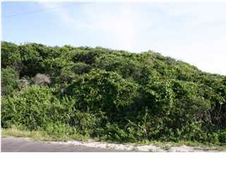 Lot 3 Blue Mountain Road Santa Rosa Beach, FL 32459 - Photo 3 of 9 a view of a yard