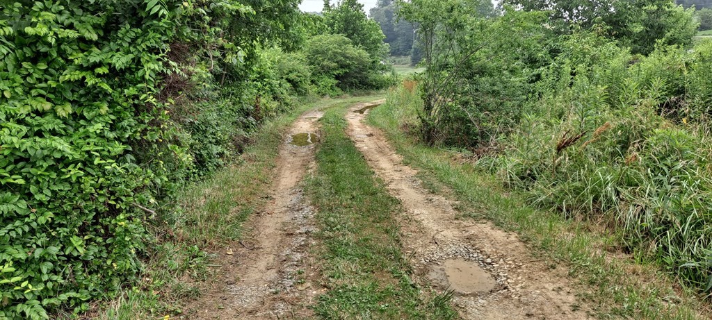 3535 Sims Cemetery Road Sevierville, TN 37876 - Photo 19 of 19 Gallery Image 19