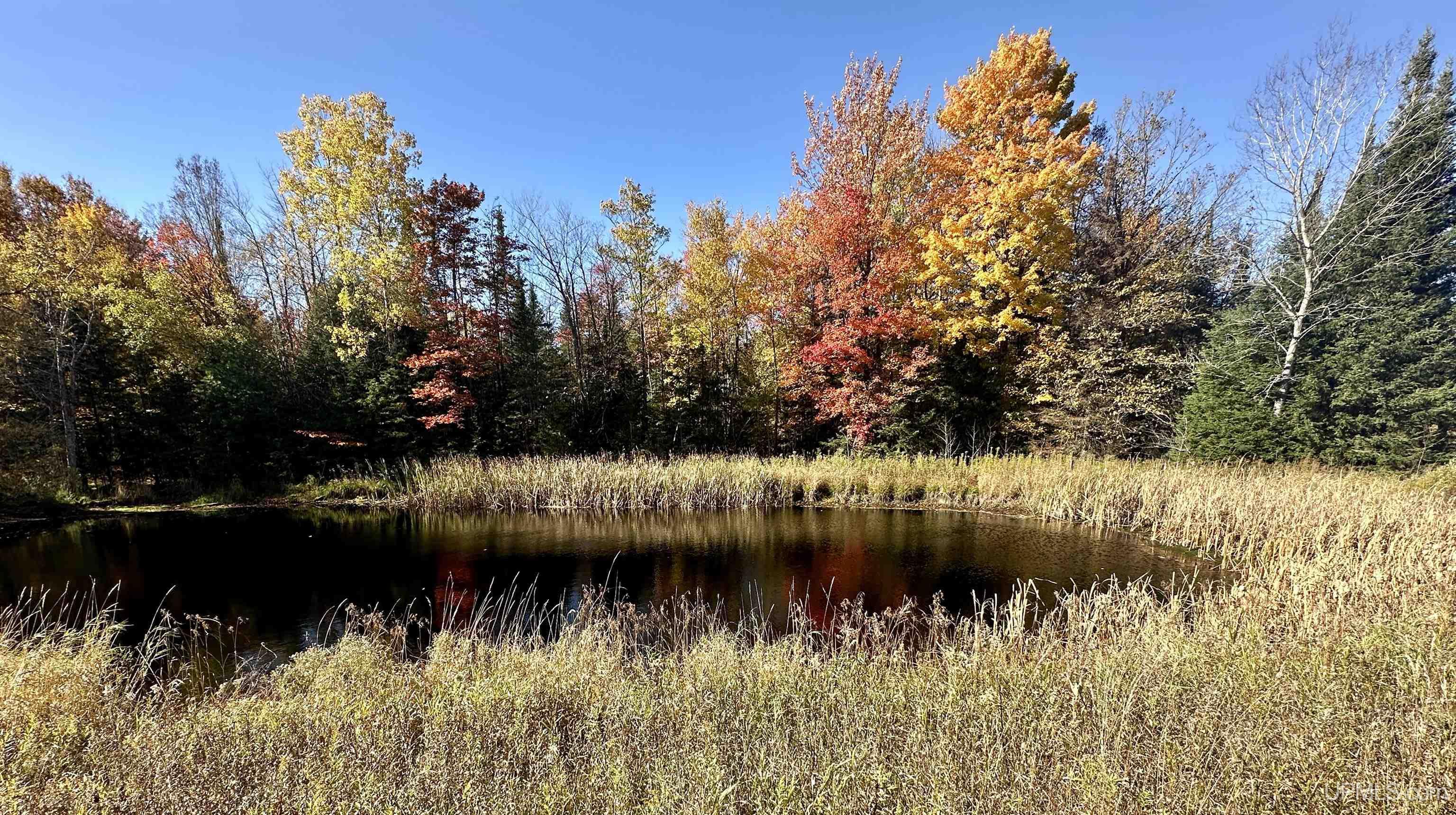 Tbd Tbd Tyner Road Chatham, MI 49816 - Photo 10 of 17