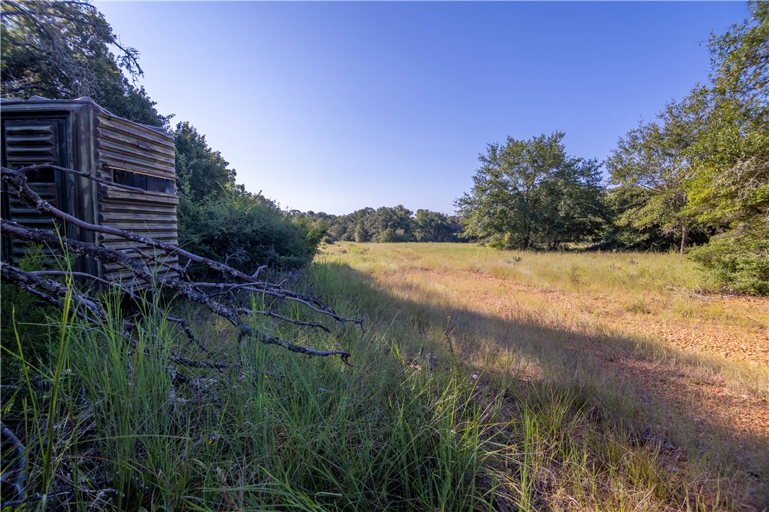 17497-60 Wilson Pasture Road Bryan, TX 77808 - Photo 4 of 7 a view of lake with green space