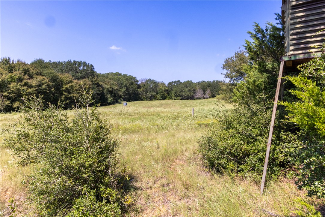 17497-60 Wilson Pasture Road Bryan, TX 77808 - Photo 5 of 7 a view of mountain view with trees in the background