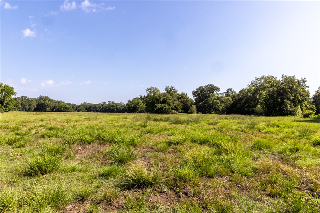 17497-60 Wilson Pasture Road Bryan, TX 77808 - Photo 6 of 7 a view of outdoor space and yard