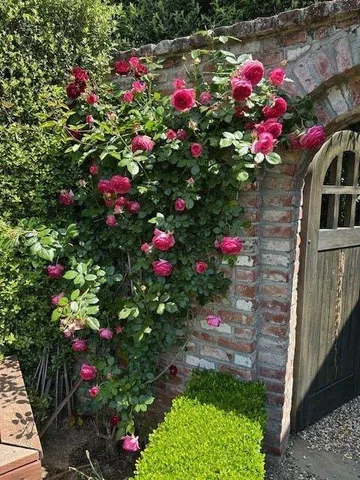 $4,995,000 | 90 Melrose Place, Redwood City, CA 94062