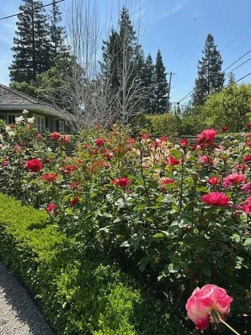 $4,995,000 | 90 Melrose Place, Redwood City, CA 94062