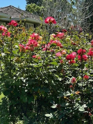 $4,995,000 | 90 Melrose Place, Redwood City, CA 94062