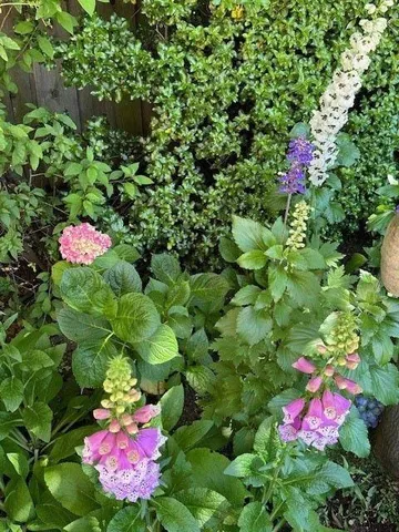 $4,995,000 | 90 Melrose Place, Redwood City, CA 94062