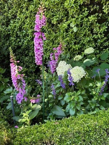 $4,995,000 | 90 Melrose Place, Redwood City, CA 94062