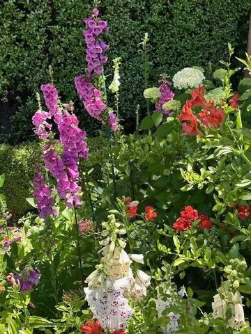 $4,995,000 | 90 Melrose Place, Redwood City, CA 94062