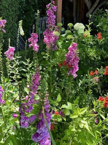 $4,995,000 | 90 Melrose Place, Redwood City, CA 94062