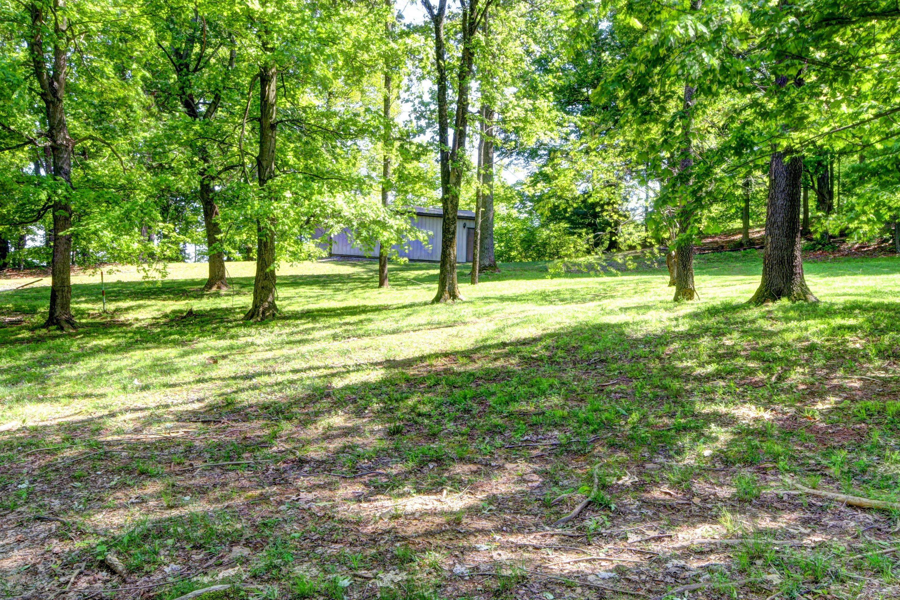 283 Walleye Road Falls Of Rough, KY 40119 - Photo 56 of 57 A Walleye #49