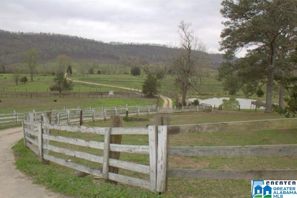 3054 Greensport Road, Unit 141 ACRES Ashville, AL 35953 - Photo 6 of 23