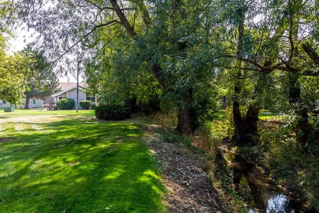 a view of a grassy field with trees