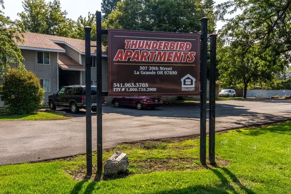 a view of a street sign under a large tree