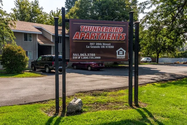 a view of a street sign under a large tree