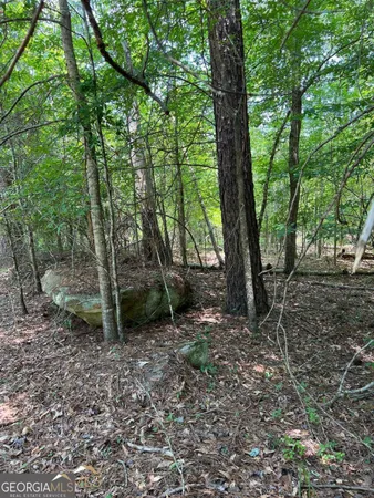 $50,000 | 0 Crooked Creek Bay Road Southeast, Eatonton, GA 31024