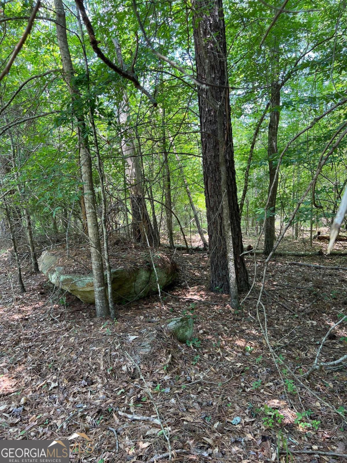 0 Crooked Creek Bay Road Southeast Eatonton, GA 31024 - Photo 1 of 2 a view of outdoor space and trees
