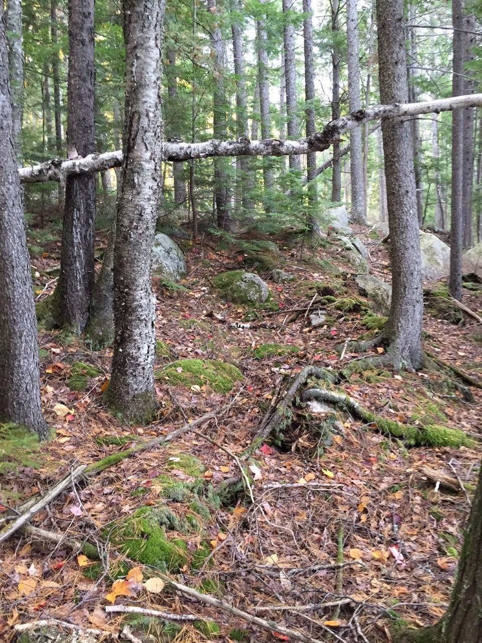 Tbd Tbd Loop Lane Enfield, ME 04493 - Photo 13 of 15 more land
