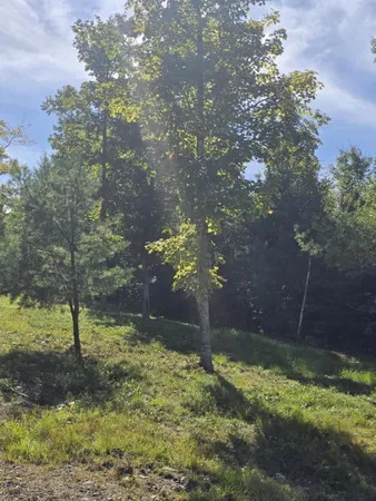 $155,000 | 5 High Ground Road, Kingfield, ME 04947