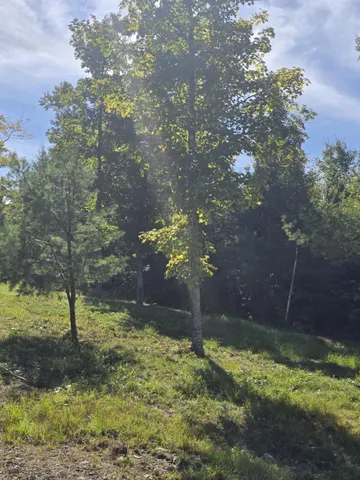 $145,000 | 5 High Ground Road, Kingfield, ME 04947