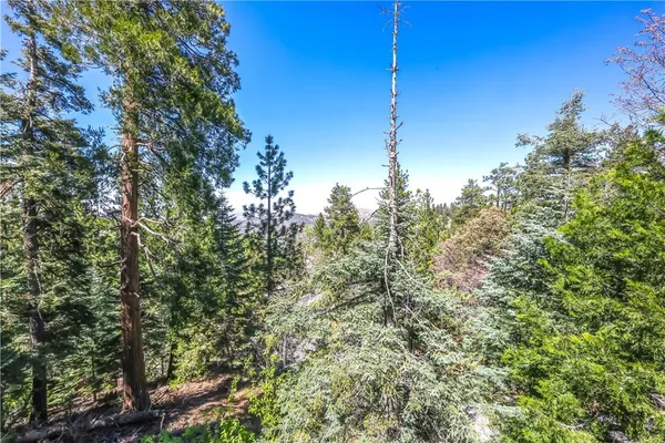 $798,000 | 295 Fairway Drive, Lake Arrowhead, CA 92352