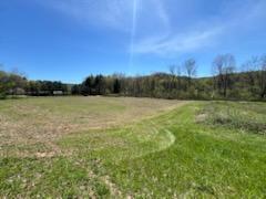 0 Kenton Road Bellville, OH 44813 - Photo 2 of 23 IMG_6211