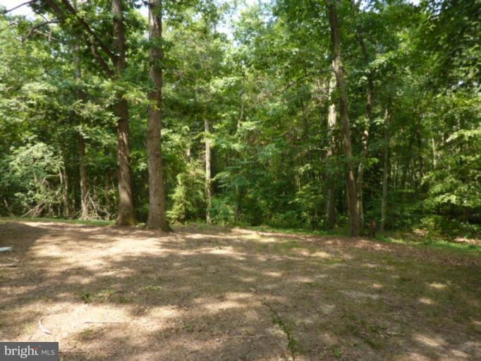4005 Bullitt Neck Road Marbury, MD 20658 - Photo 14 of 16 Other #4