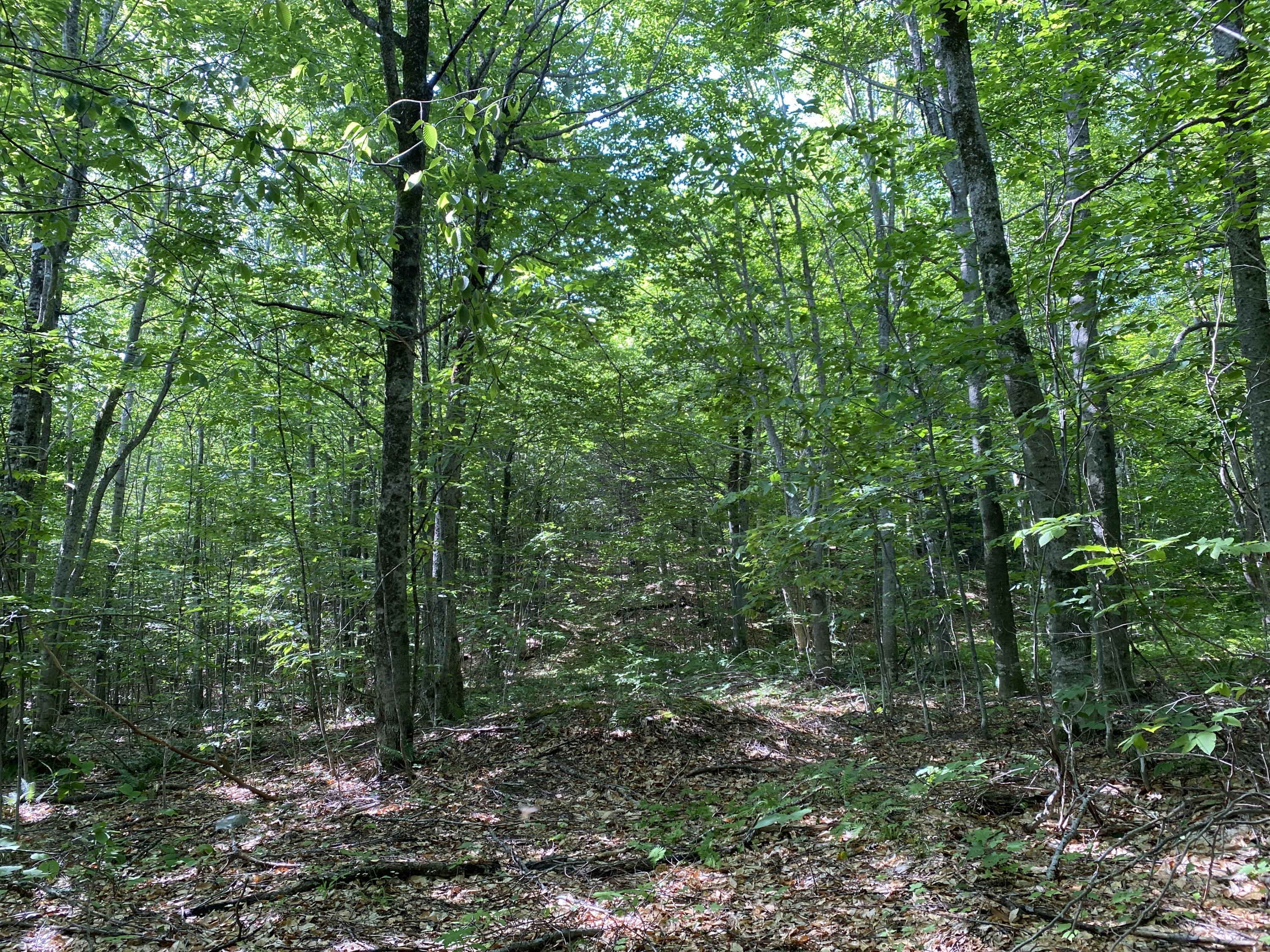 596 Valley Road Anson, ME 04911 - Photo 16 of 16 IMG_0678