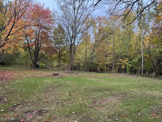 6742 Warren - Sharon Road Brookfield, OH 44403 - Photo 6 of 16 View of yard