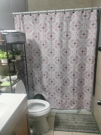 a bathroom with a toilet and a shower