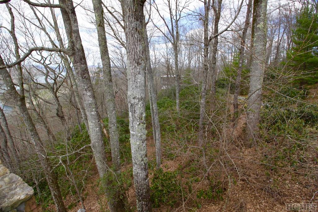 Lot 5 Bright Mountain Road Cullowhee, NC 28723 - Photo 15 of 19 Gallery Image 15