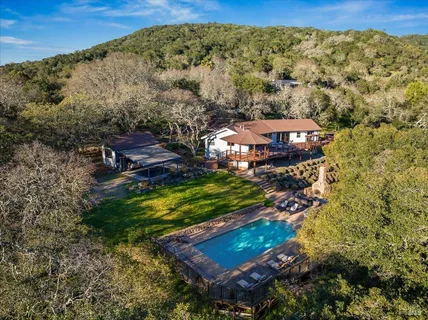 view of a city with tall trees