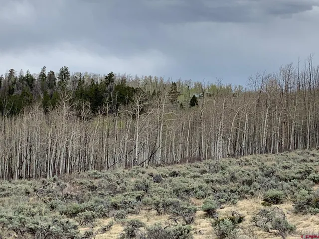 $399,000 | No Number No, Gunnison, CO 81230