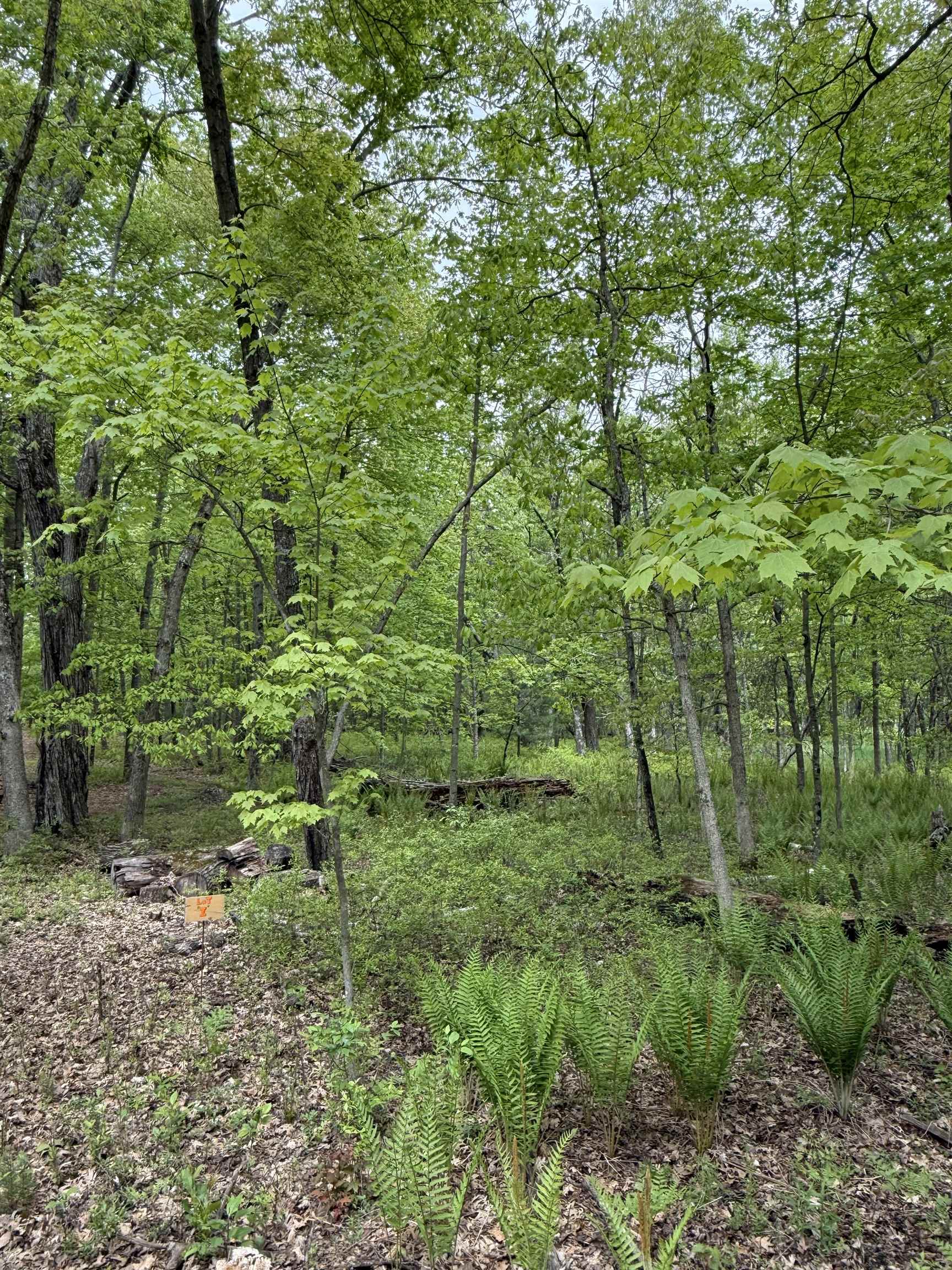 N3381 Deer Run Montello, WI 53949 - Photo 18 of 24