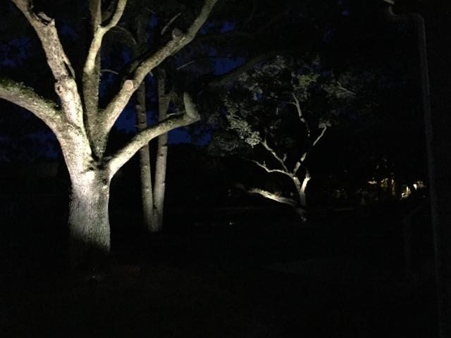 822 Sheldon Road Charleston, SC 29407 - Photo 6 of 16 Rear LED's uplighting oaks