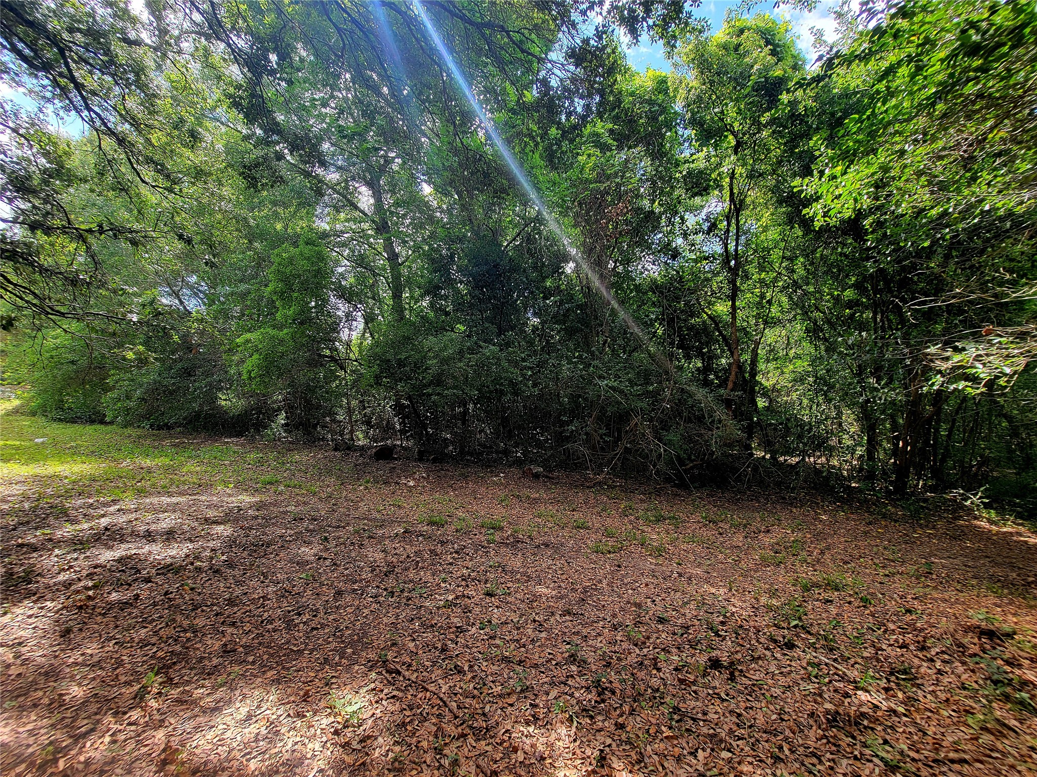 0 Allum Road Houston, TX 77045 - Photo 10 of 15 Rear of property at utility easement.