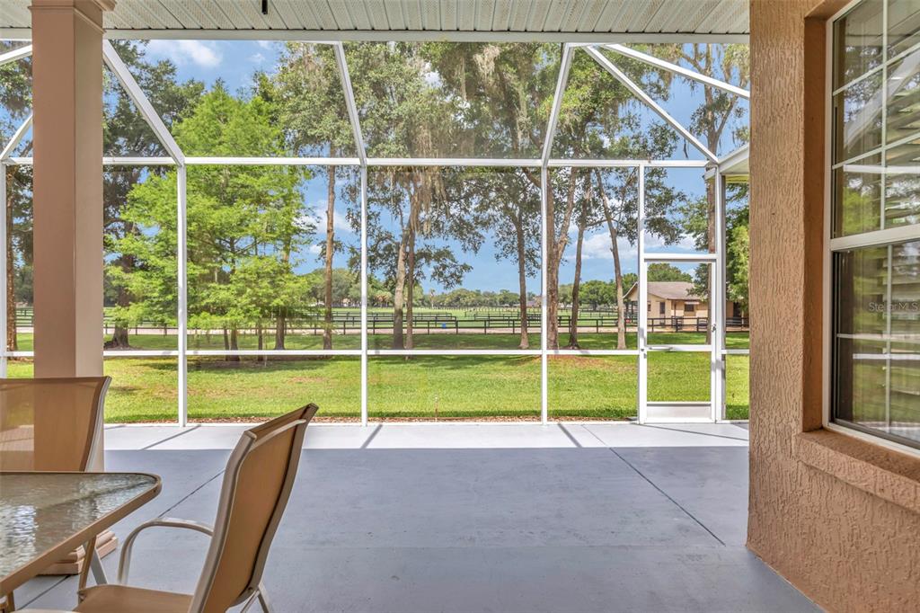 1989 Northwest 111th Loop Ocala, FL 34475 - Photo 38 of 55 a view of a deck with a floor to ceiling window and a yard