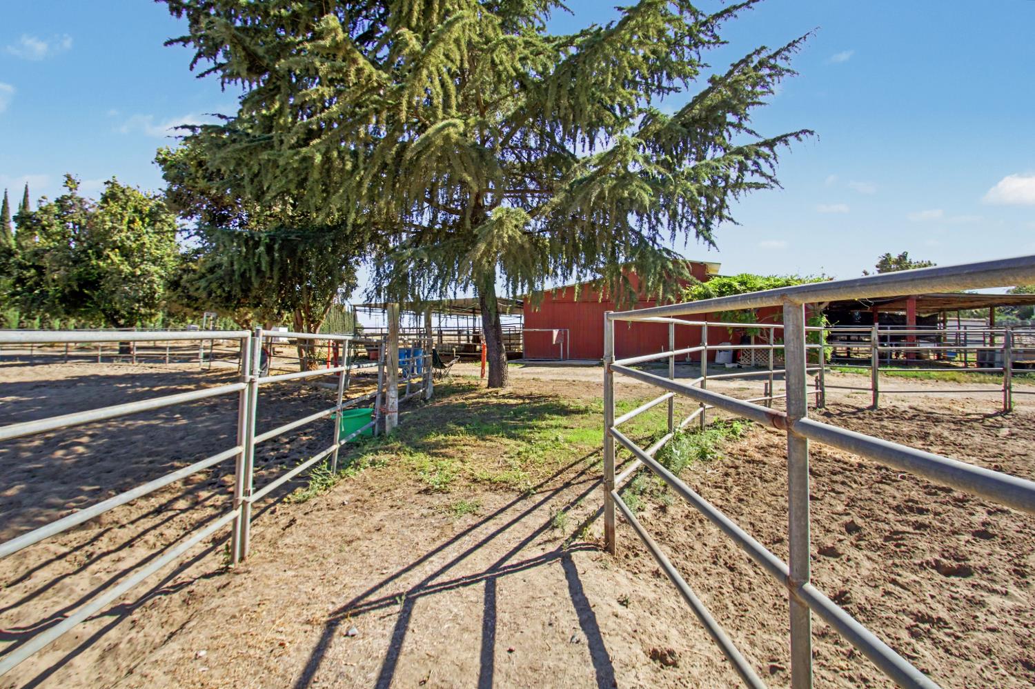 1180 Sunset Road Brentwood, CA 94513 - Photo 10 of 72 Walkway from the house to the barn between the two rounds pens.