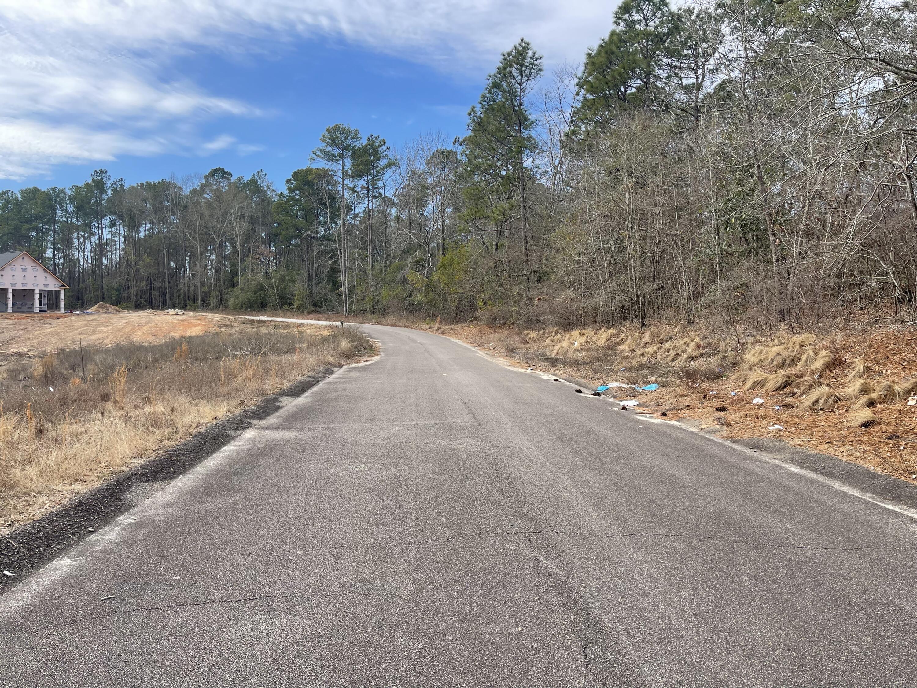0 Lamback Way North Augusta, SC 29841 - Photo 2 of 2