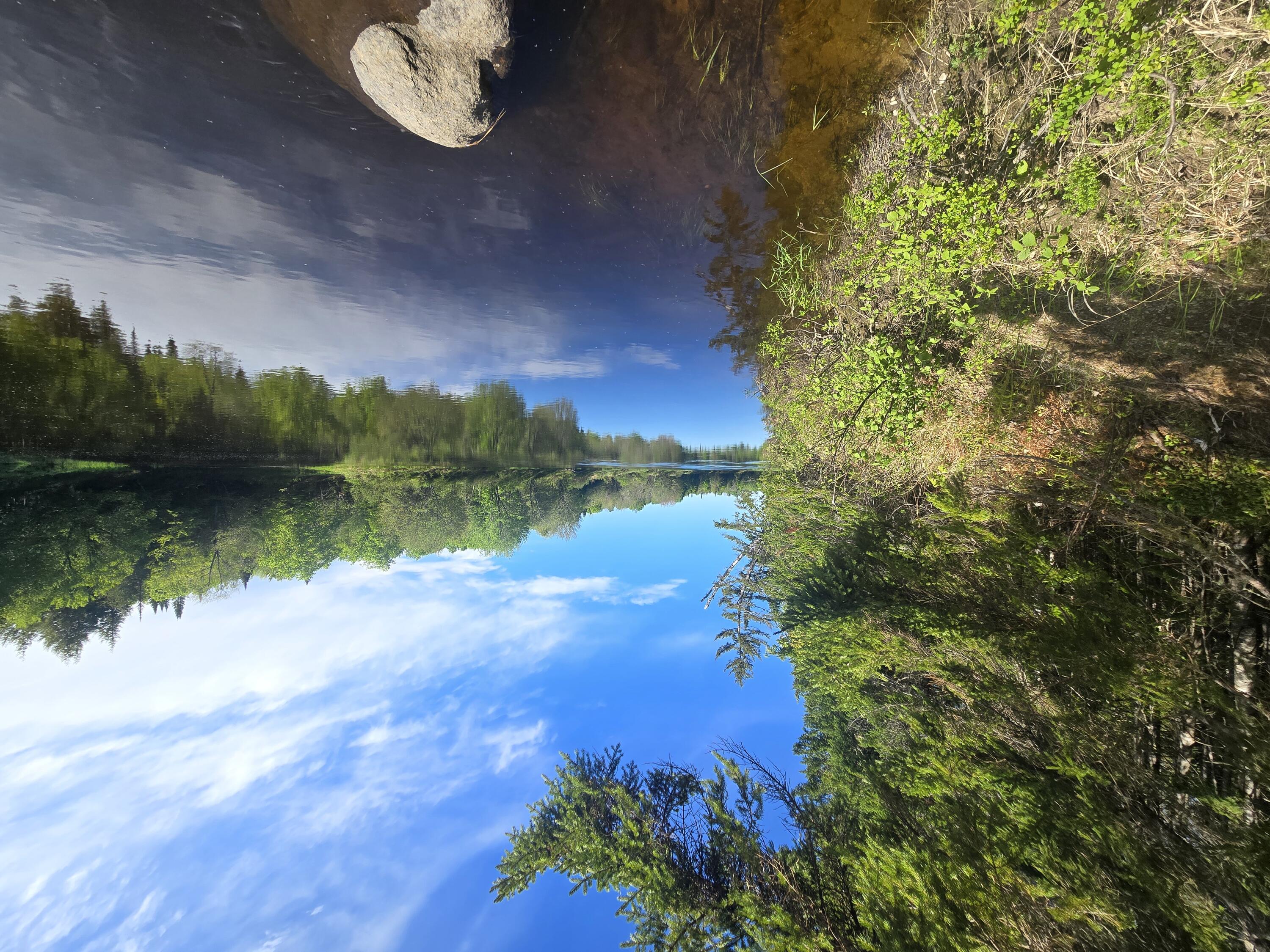 # Private Road Island Falls, ME 04747 - Photo 3 of 16 1000007515