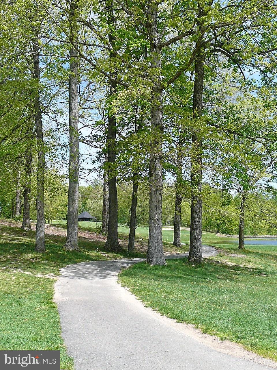 3903 Penderview Drive, Unit 1535 Fairfax, VA 22033 - Photo 35 of 36 a huge green field with lots of trees