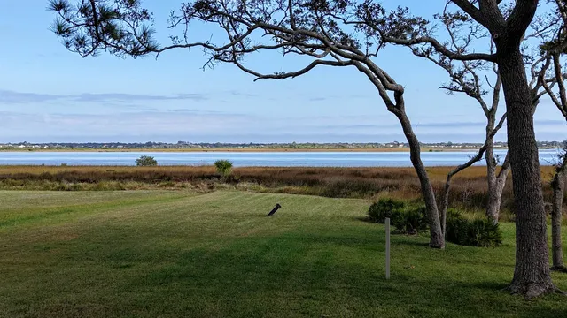 a view of outdoor space with seating area and trees around