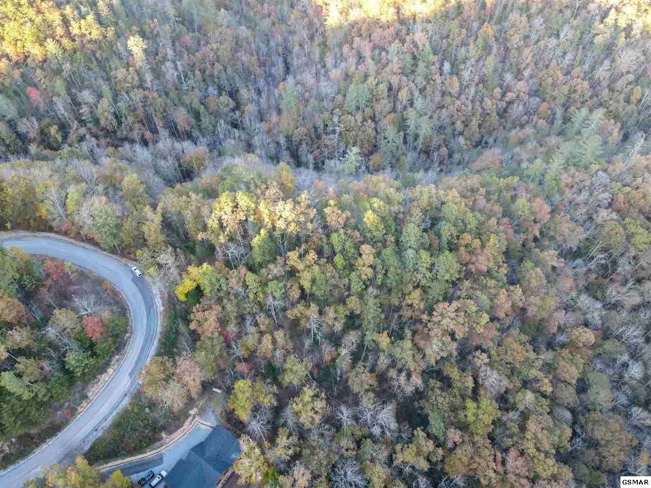 65 Whetstone Road Sevierville, TN 37862 - Photo 5 of 13